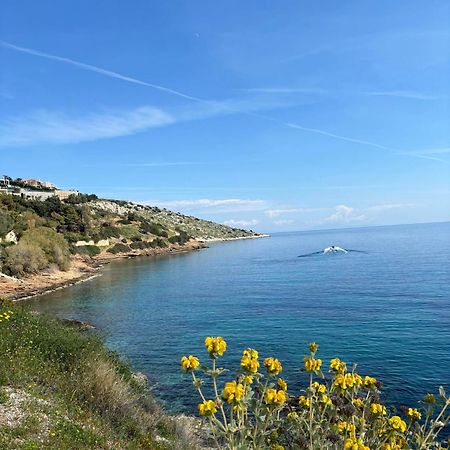 Attica Vacation Home Dhaskalion Bagian luar foto